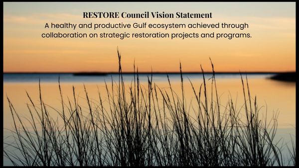 Vision Statement