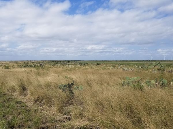Conservation lands including Laguana Atascosa NWR