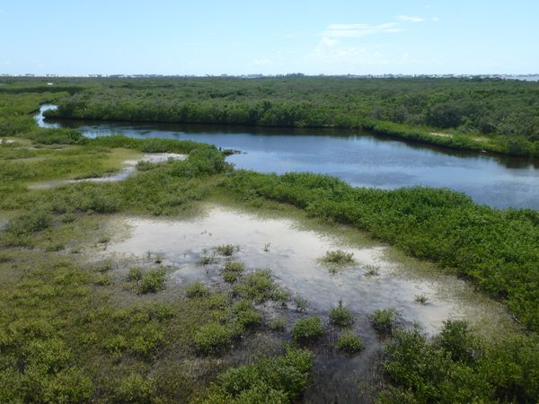 "Robinson Preserve on June 12, 2018"