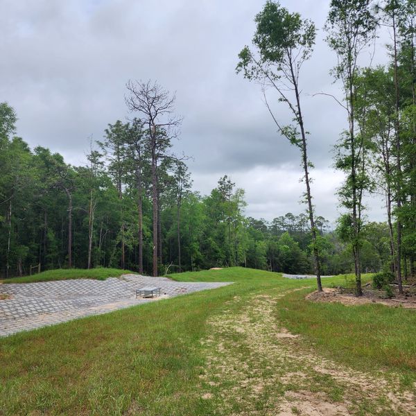 After construction at Brock Gully