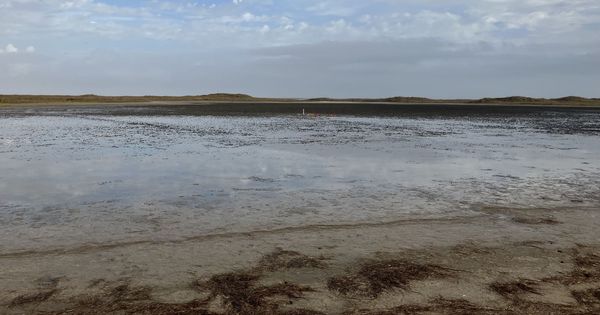 wind-tidal flat