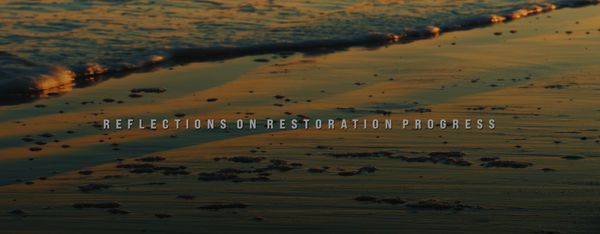 Reflections on Restoration video thumbnail photo