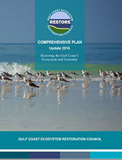 Comprehensive Plan Cover Sheet