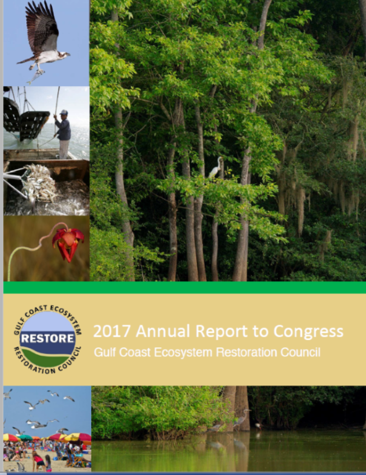 2017 Annual Report to Congress Cover