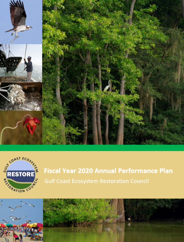 Fiscal Year 2020 Annual Performance Plan Report Cover