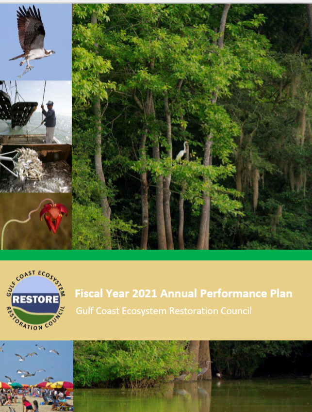 Fiscal Year 2021 Annual Performance Report