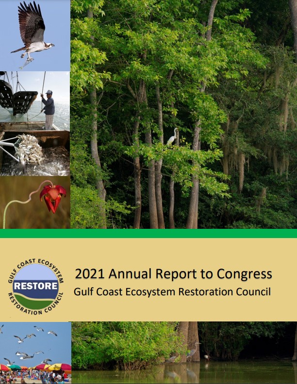 Cover of FY2021 Annual Report to Congress