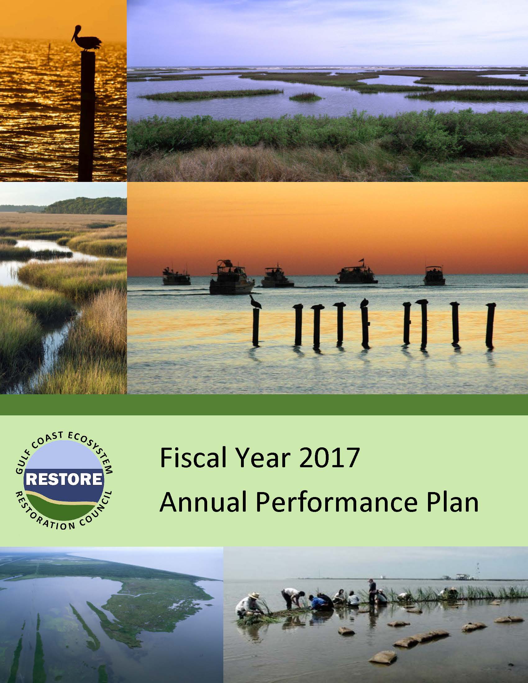 Cover of 2017 Annual Performance Plan