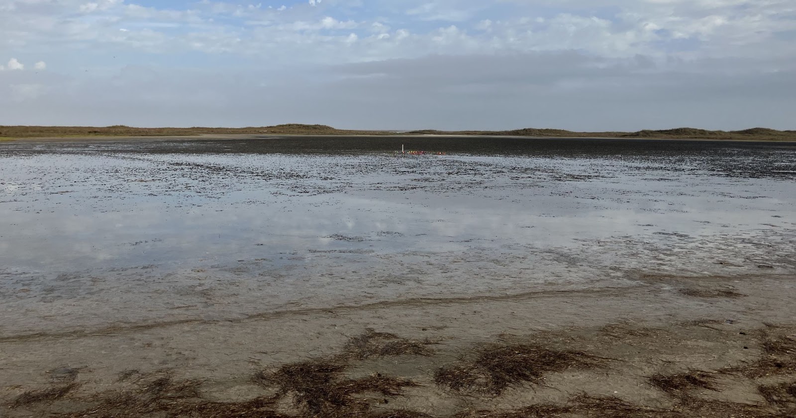 wind-tidal flat