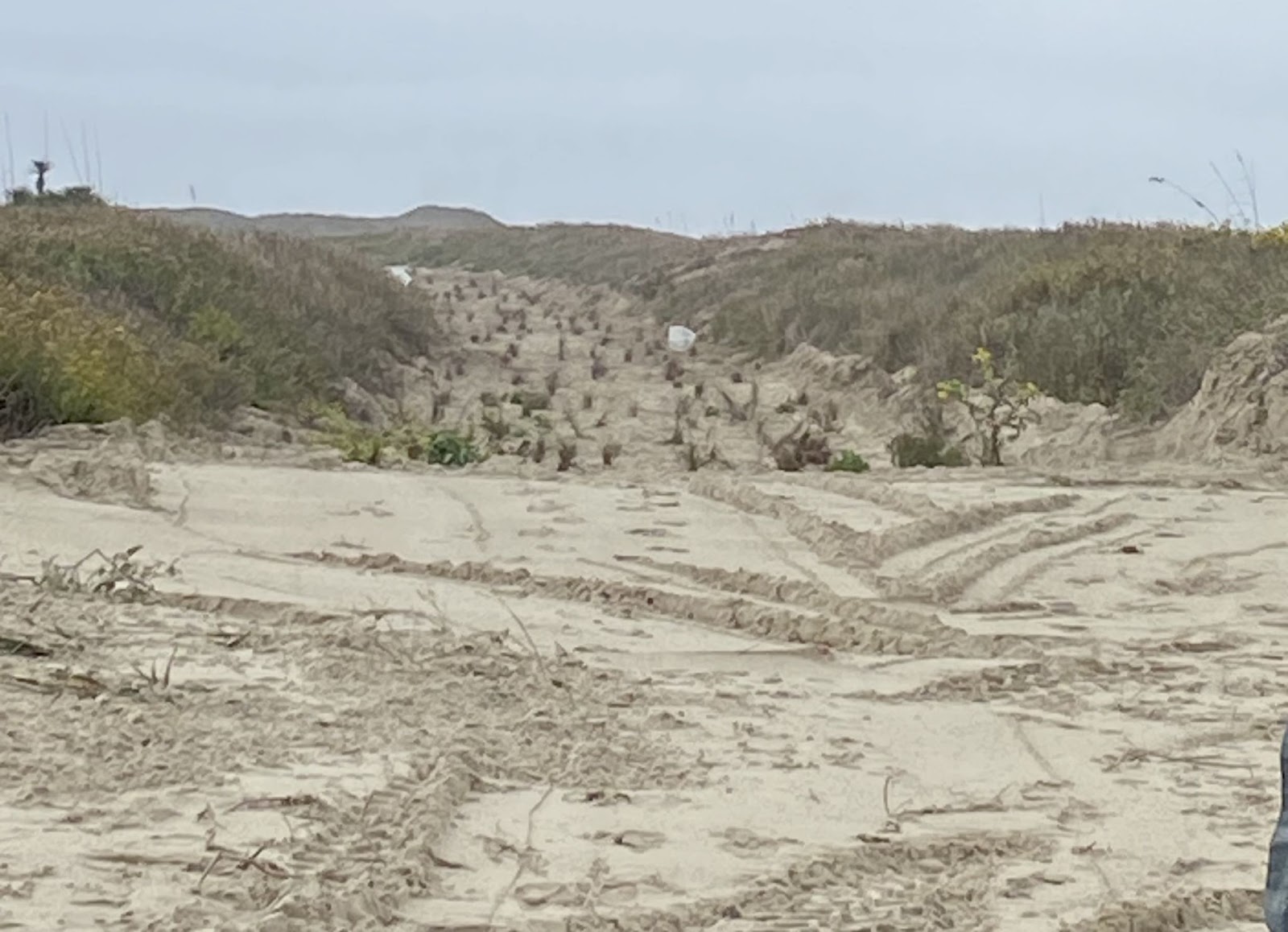 restored oil and gas access road