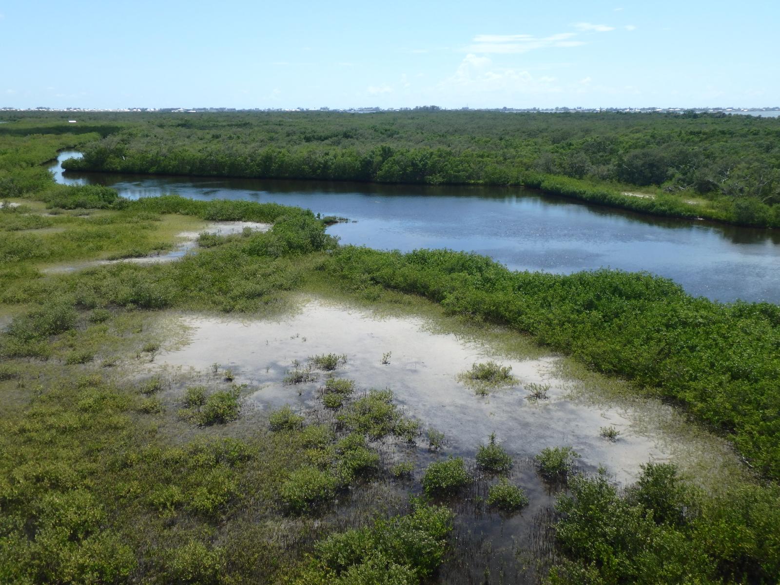 Robinson Preserve on June 12, 2018