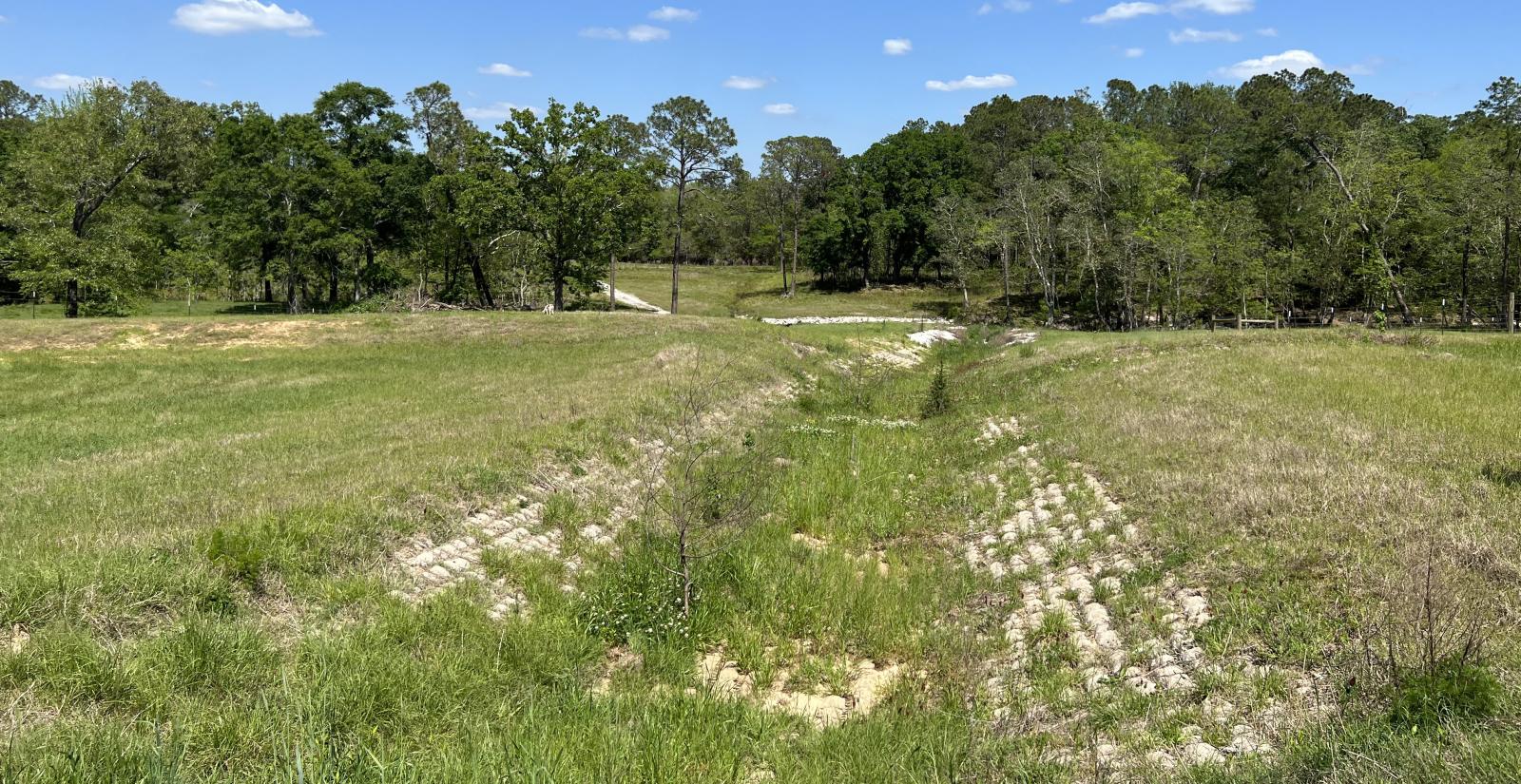 USDA Gulf Conservation Reserve After Photo