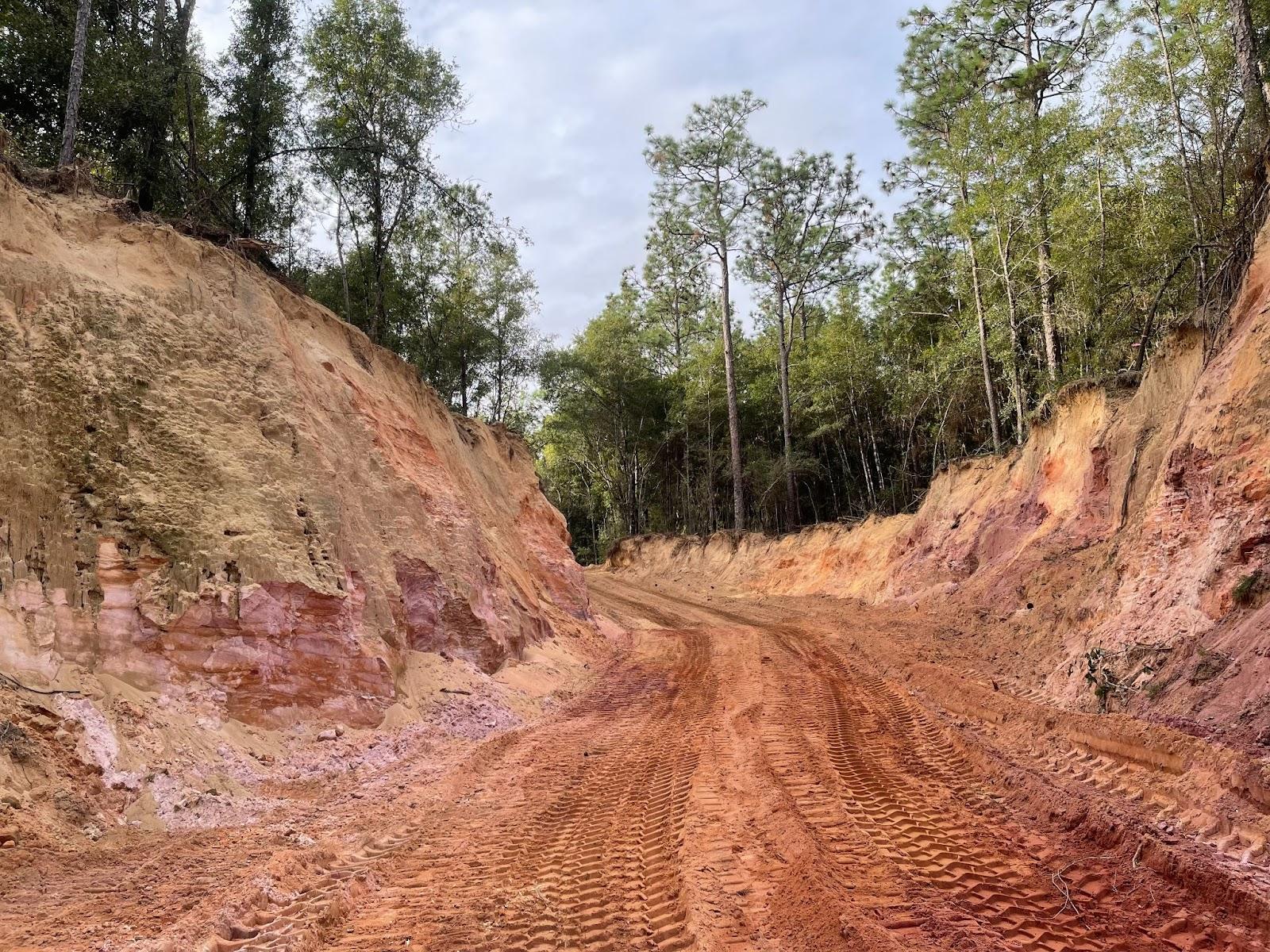 Restoration in Brock Gully