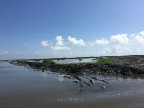 Marsh living shoreline in Hancock County