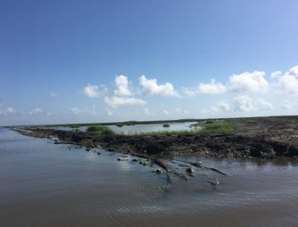 Marsh living shoreline in Hancock County